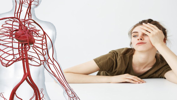 How To Improve Blood Circulation And Increase Longevity In Tamil 