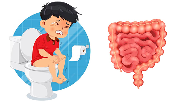Myths And Facts: Is It Normal Not To Have A Bowel Movement Everyday In Tamil 