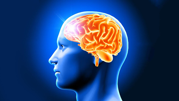  Causes And Prevention Of Brain Stroke In Tamil 