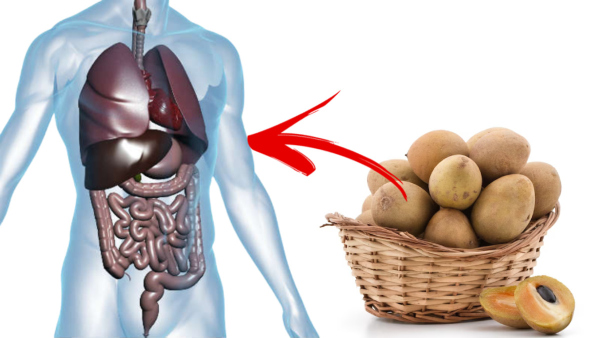 Health Tips: Top Eight Health Benefits Of Eating Sapota/Chiko Daily In Tamil