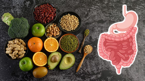 Health Benefits Of Dietary Fibre In Tamil 