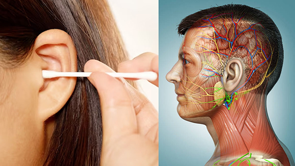 Dangers Of Using Earbuds To Clean Ear Wax In Tamil Dangers Of Using Earbuds To Clean Ear Wax In Tamil