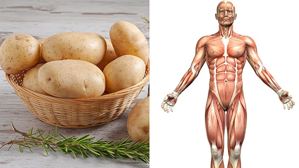 What Happens If You Eat Potatoes Every Day In Tamil 