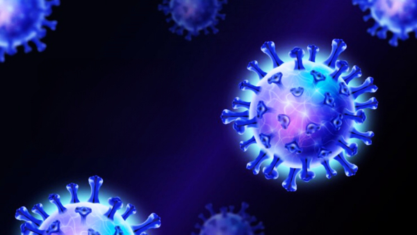 Eris or EG.5.1: All You Need To Know About The New Covid Variant In Tamil Eris or EG.5.1: All You Need To Know About The New Covid Variant In Tamil