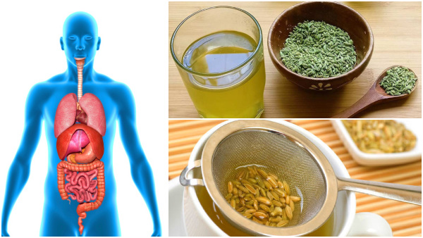 Health Tips: Top Eight Health Benefits Of Drinking Fennel Seeds Water Daily In Tamil