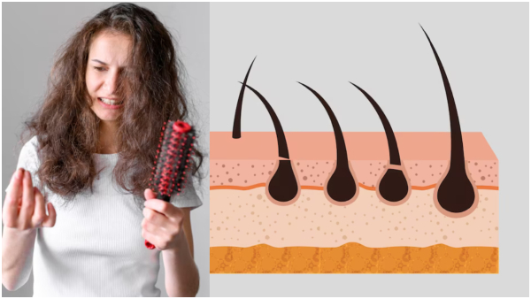 Hair Care Tips: Ayurvedic Powders To Strengthen Weak Hair In Tamil