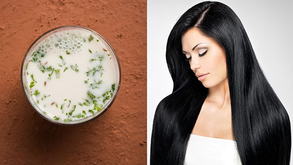 Benefits Of Washing Hair With Buttermilk In Tamil 