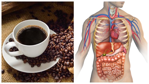 Health Benefits Of Having Black Coffee In The Morning In Tamil 