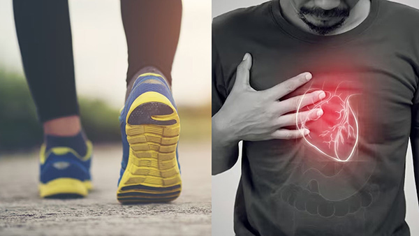 How Many Walking Steps Daily Can Prevent Heart Attack In Tamil How Many Walking Steps Daily Can Prevent Heart Attack In Tamil