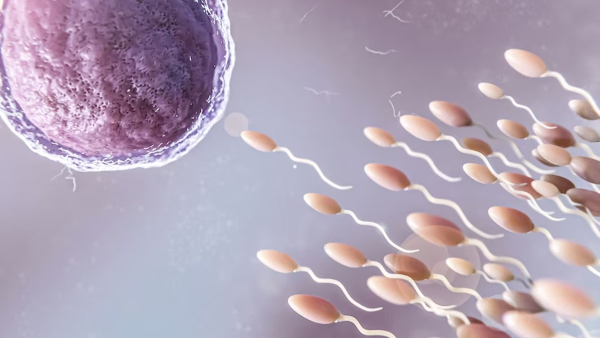 Lifestyle Habits That Can Impact Male Fertility in Tamil