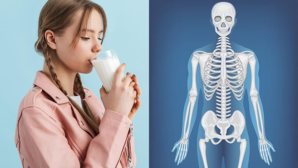 Milk Alternatives For Daily Calcium Intake In Tamil 