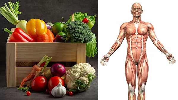 Monsoon vegetables for immunity boosting In Tamil 