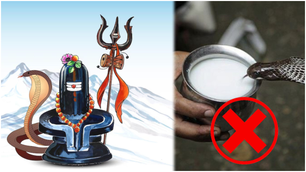 Nag Panchami 2023: Never Do These Works Even By Mistake On Nag Panchami In Tamil