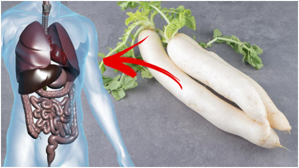 Health Tips: Top 10 Reasons To Eat Radish In Tamil