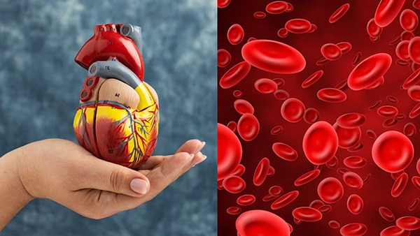 Signs of Poor Blood Circulation in Your Body in Tamil