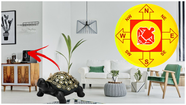 Vastu Tips: Where To Keep Black Tortoise To See Growth In Career In Tamil