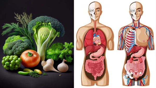 Top Five Healthiest Vegetables You Must Add To Your Diet In Tamil 