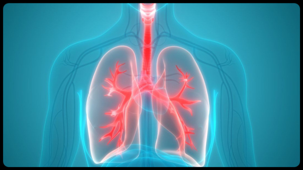 Vitamin K Deficiency Can Lead to These Lung Diseases in Tamil Vitamin K Deficiency Can Lead to These Lung Diseases in Tamil