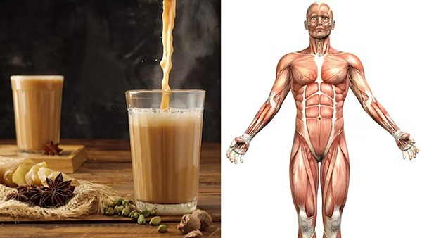 Why Too Much Tea Is Bad for Your Health in Tamil Why Too Much Tea Is Bad for Your Health in Tamil