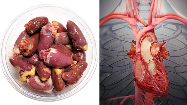 World Heart Day 2023: Top 5 Benefits Of Eating Chicken Hearts For Heart Patients In Tamil 