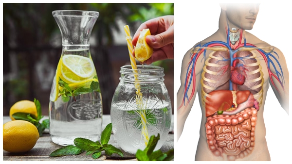 Reasons To Start Your Day With Lemon Water In Tamil 