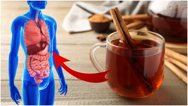 Top 7 Benefits of Drinking A Glass Of Cinnamon Water On Empty Stomach In Tamil