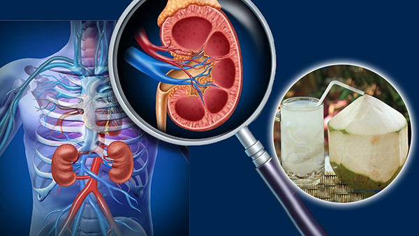 Reasons You Should Drink Coconut Water Daily In Tamil 