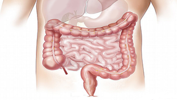 Foods To Heal Your Colon Naturally In Tamil 