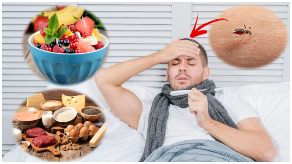 Dengue Fever: Foods For Dengue Patients In Tamil