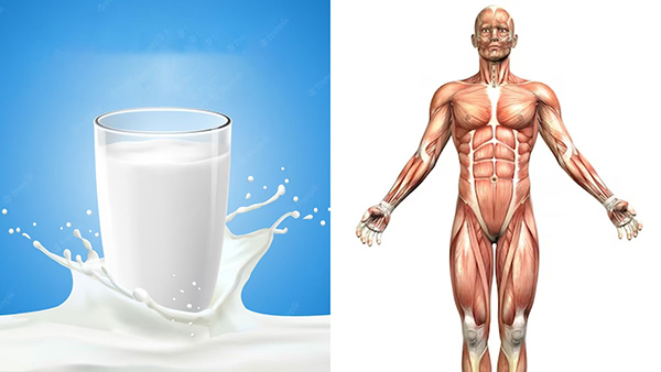 Drinking Milk May Be Harming Your Health Secretly In Tamil Drinking Milk May Be Harming Your Health Secretly In Tamil