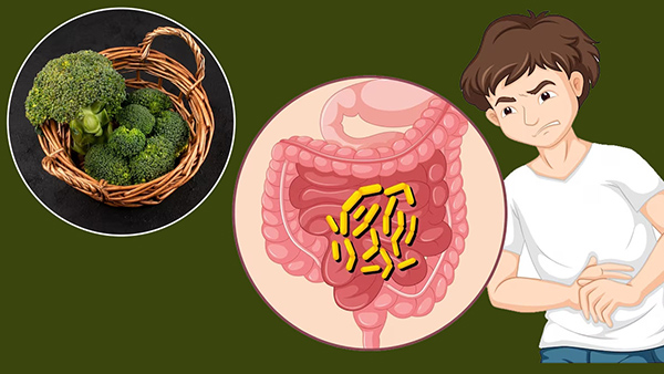 Foods To Heal Your Colon Naturally In Tamil 