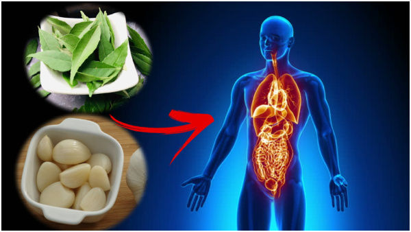 Benefits Of Eating 5 Curry Leaves And 1 Garlic Clove On An Empty Stomach In Tamil