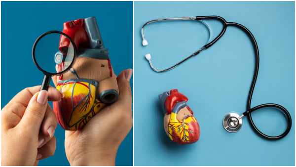 World Heart Day 2023: Who Should Get A Heart Check-Up Regularly In Tamil