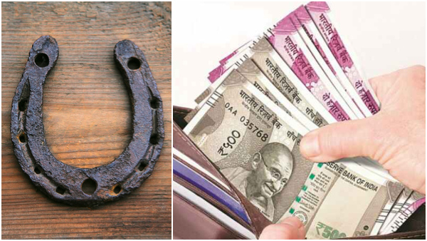 Vastu Tips: Where To Keep Horseshoe At Home To Increase Wealth In Tamil