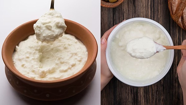 Benefits of Curd: How to Use Curd in Kitchen Other Than Eating in Tamil