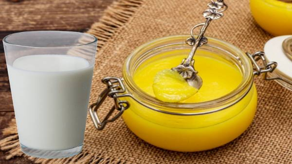 Health Benefits of Drinking Milk With Ghee in Tamil Health Benefits of Drinking Milk With Ghee in Tamil