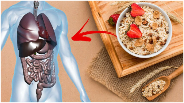 Oats Side Effects: Reasons Why You Should Not Eat Oats Everyday In Tamil