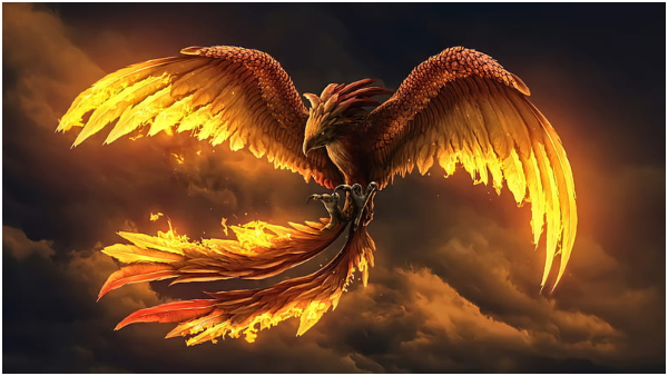 Vastu Tips: Where To Keep Phoenix Bird Photo At Home To Get Money And Growth In Tamil