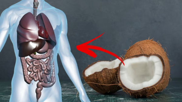 Top 7 Health Benefits Of Eating A Piece Of Raw Coconut Everyday