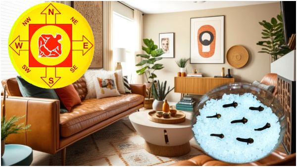 Vastu Tips: Where To Keep Salt And Cloves At Home To Remove Money Shortage In Tamil
