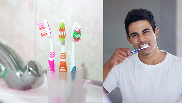 Why You Shouldnt Store Your Toothbrush In The Bathroom In Tamil Why You Shouldnt Store Your Toothbrush In The Bathroom In Tamil