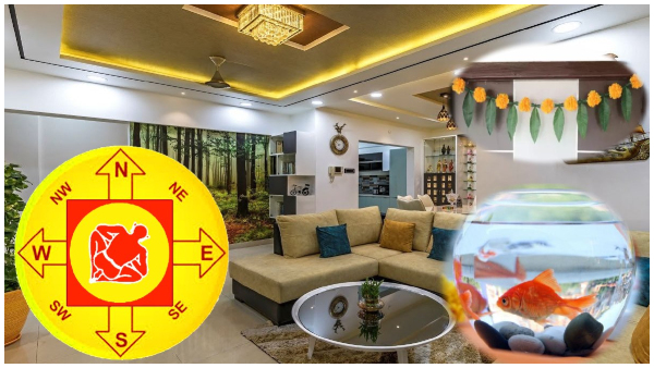 Vastu Tips: Best Home Decor Items That Increase Wealth And Prosperity In Tamil