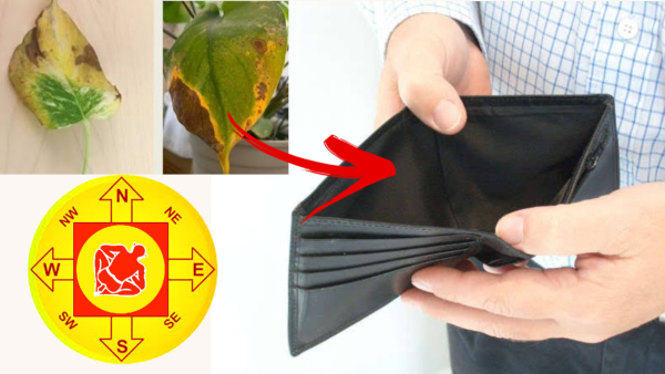 Vastu Tips: Never Keep These Things At Home If You Want To Be Rich In Tamil