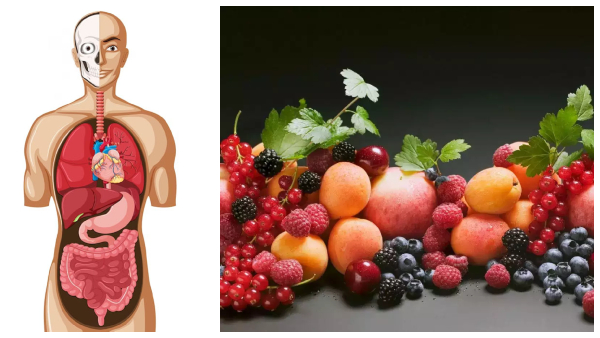 Stone Fruits To Eat During This Season In Tamil Stone Fruits To Eat During This Season In Tamil