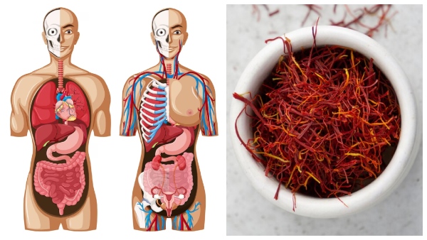Health Benefits Of Drinking Saffron Water In Tamil 