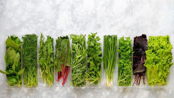 These five green leafy can help lose weight in winters In Tamil 