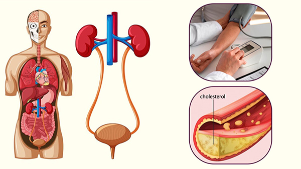 Pickles Side Effects: How Do Pickles Affects Your Health In Tamil 