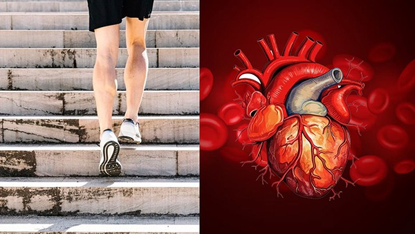 Heart Health: How Climbing Stairs Can Improve Your Heart Health in Tamil