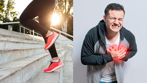 How Climbing Stairs Improve Your Heart Health In Tamil 