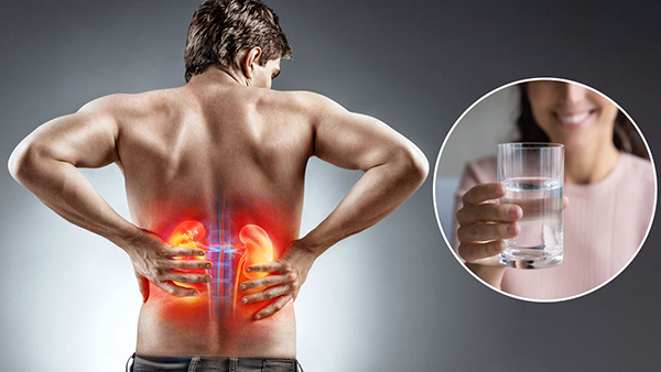 Kidney Health: Tips To Avoiding Renal Problems In Tamil 